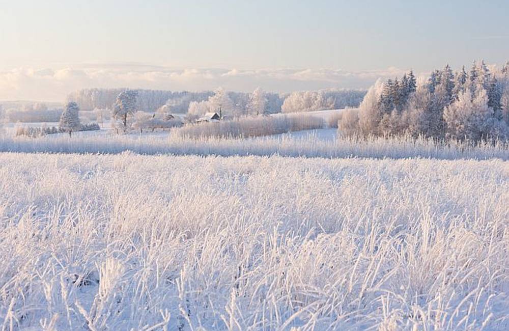 Foto: Začiatkom februára prídu silné mrazy a snehové zrážky