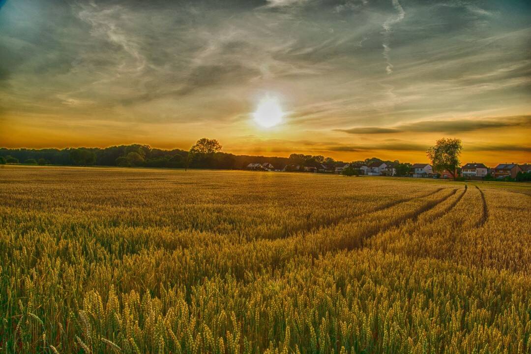 Foto: Na Slovensko sa blíži vlna tepla. Teploty pokoria hranicu 15 °C