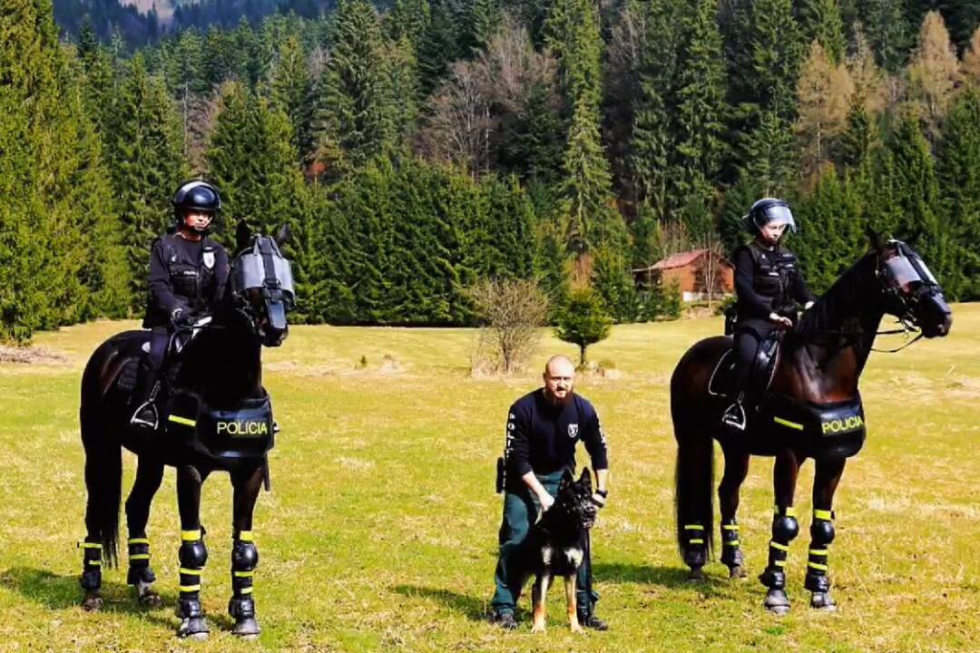 Foto: VIDEO: Pozrite sa, ako vyzerá celokrajský výcvik psovodov na Horehroní