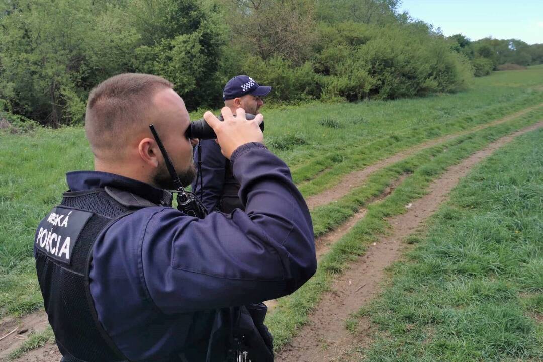 Po zvolenskom sídlisku sa prechádza medveď. Videný bol aj pri základnej škole, zvýšte pozornosť