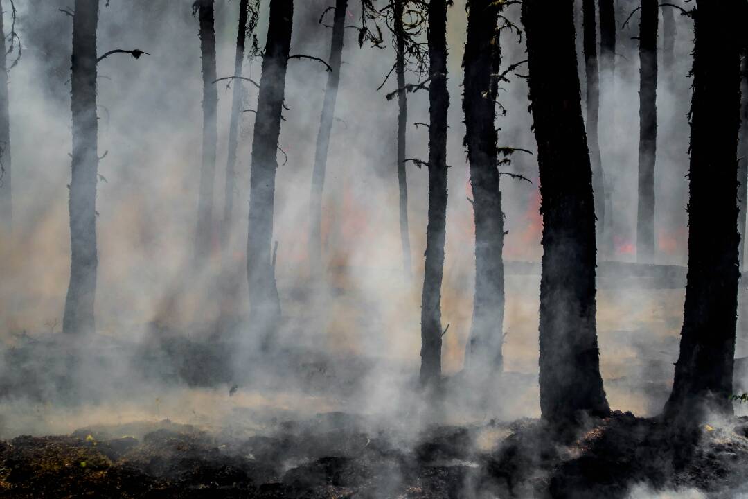 Foto: Dobročský prales je v plameňoch. Na mieste zasahujú hasiči