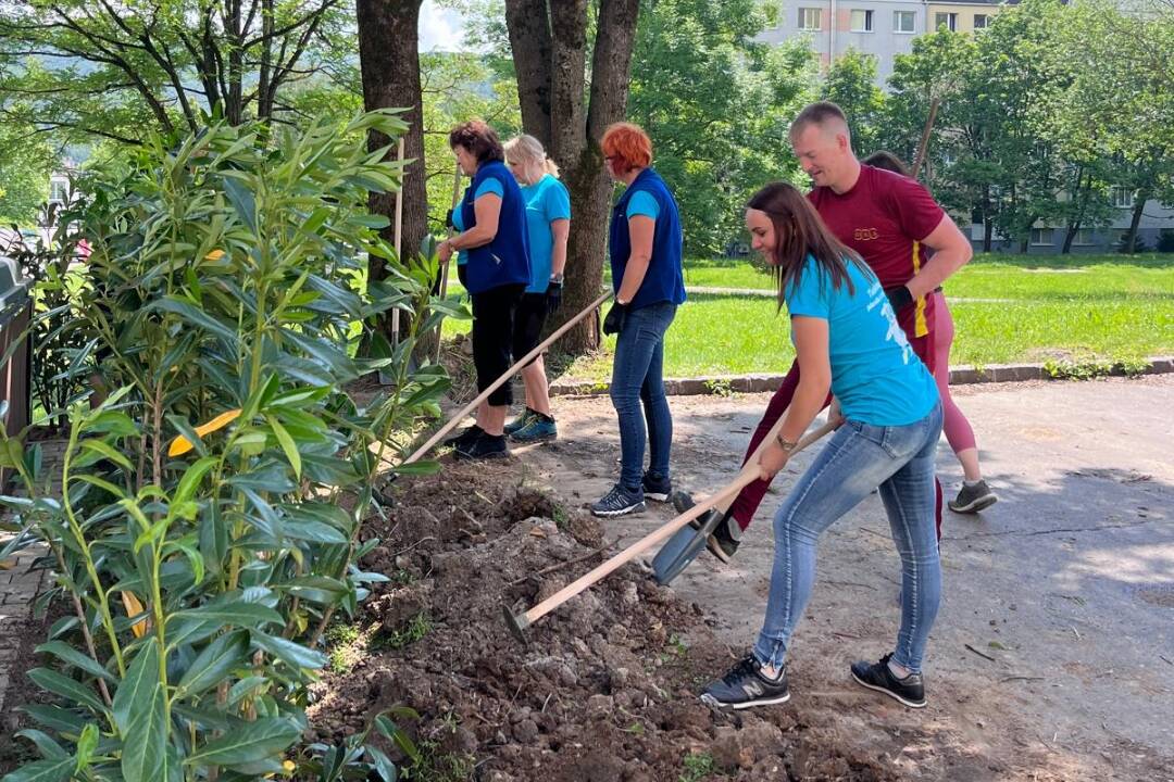 FOTO: Ďalší krok pre zelenšiu Bystricu. Mesto zdobí takmer 150 nových kríkov