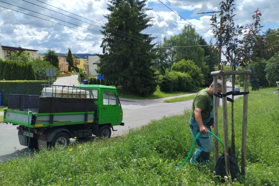 Foto: Banská Bystrica predchádza úhynu nových vysadených stromov. Ku každému pridali zavlažovací vak