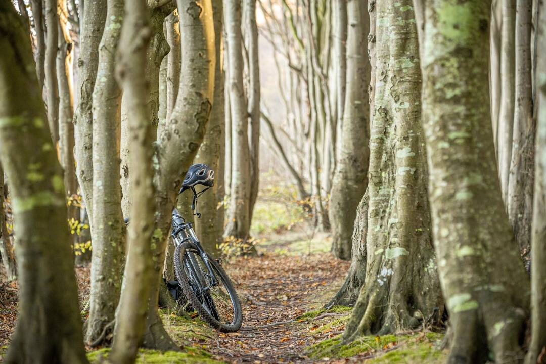 Foto: Horehronie je rajom pre cyklistov. Pokiaľ nemáte ten svoj, požičajte si, funguje tu až 14 pobočiek