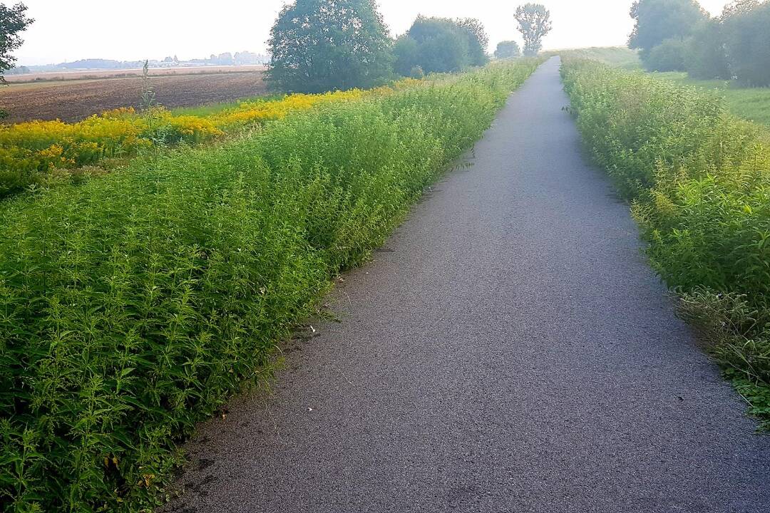 Foto: Slúchadlá v ušiach či bezohľadnosť. Žena skritizovala správanie ľudí na cykloceste medzi Zvolenom a Sliačom