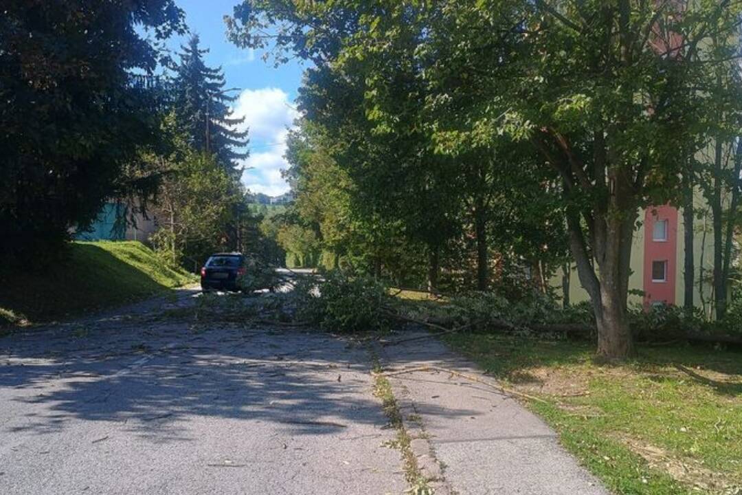 Foto: Na ulici vo Fončorde spadol strom. Blokuje jeden jazdný pruh, dá sa však obísť