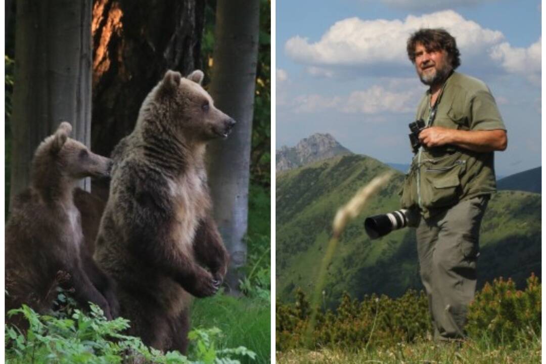 Foto: VIDEO: Fotograf Ivan Kňaze, ktorý študoval vo Zvolene, odhaľuje tajomstvá divočiny - Stretnutia s medveďom