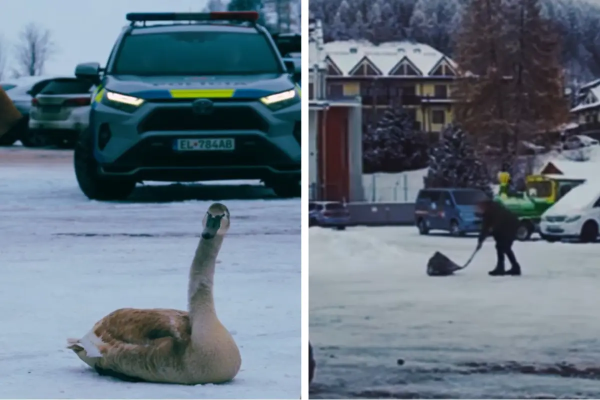 Foto: VIDEO: Netradičný zásah polície na Donovaloch. Tentokrát nezachraňovali človeka