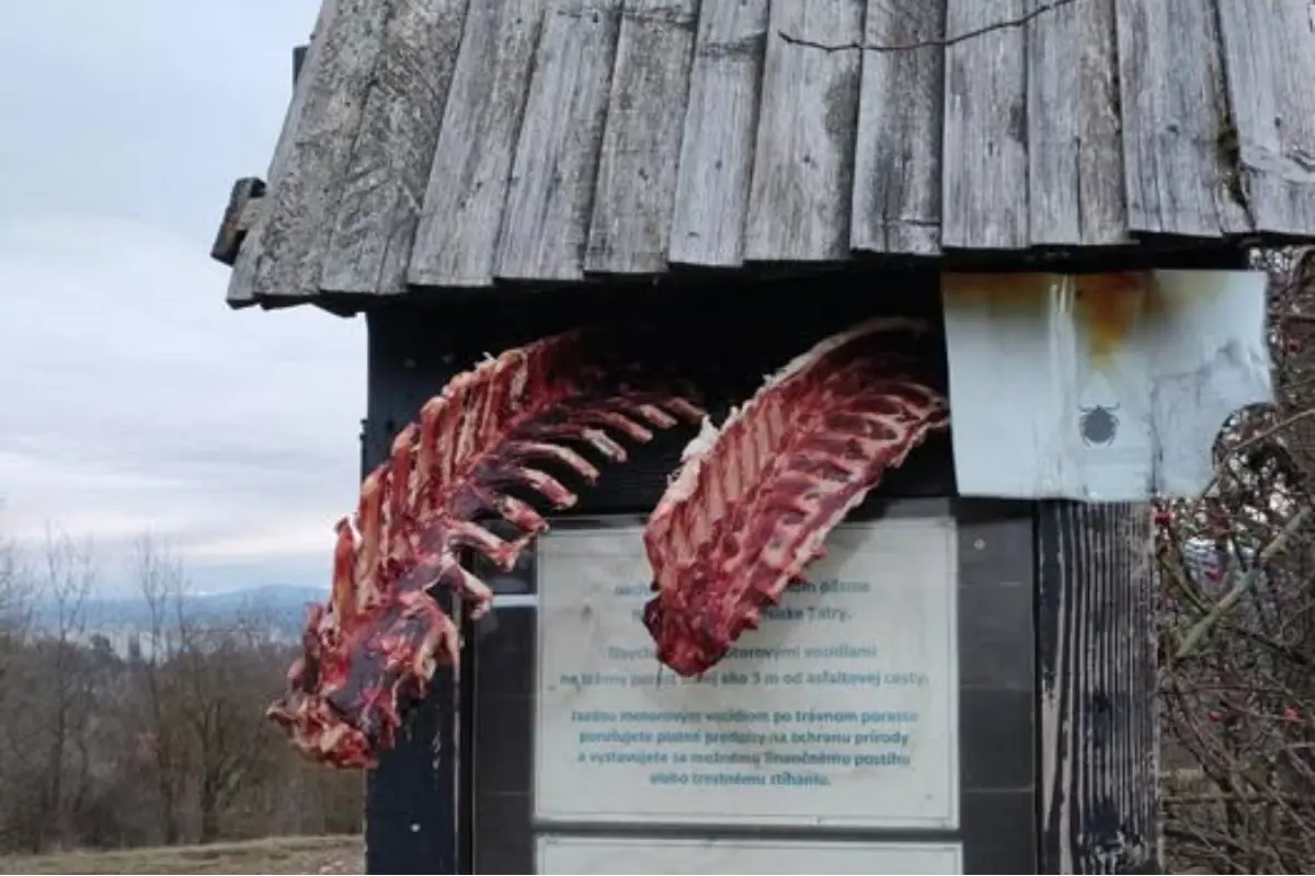 Foto: V Sásovskej doline niekto nainštaloval vábničku na medvede, krvavé mäso na informačnej tabuli pobúrilo miestnych ľudí