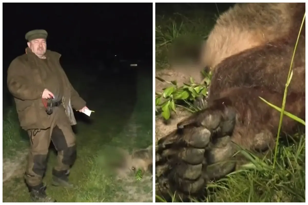 Foto: Minulý rok zabil v Očovej Rudolf Huliak medveďa. Mäso má v chladničke, dodnes však nepožiadal o výnimku na jeho držbu