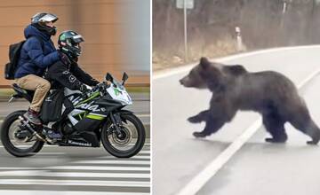 Po zrážke medveďa je motocyklista v ohrození života. Odviezol ho vrtuľník