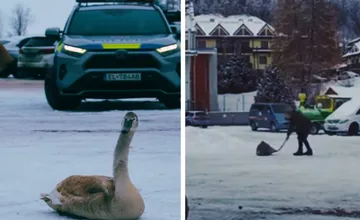 VIDEO: Netradičný zásah polície na Donovaloch. Tentokrát nezachraňovali človeka