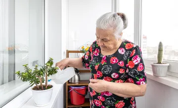 Zločinecká kariéra Ladislava z Lučenca skončila. Dostala ho seniorka, ktorá pod strom položila 10-tisíc eur 