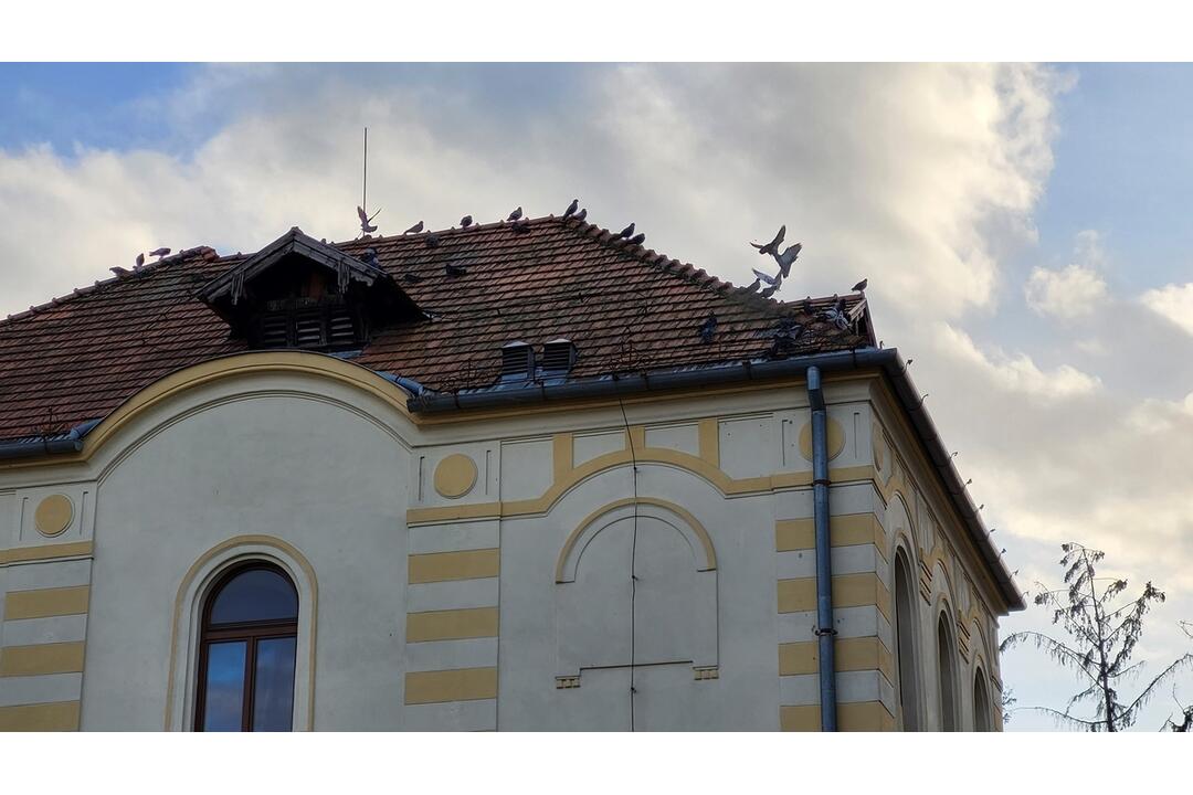 FOTO: Poškodená strecha bývalého sirotinca v Rimavskej Sobote, foto 6