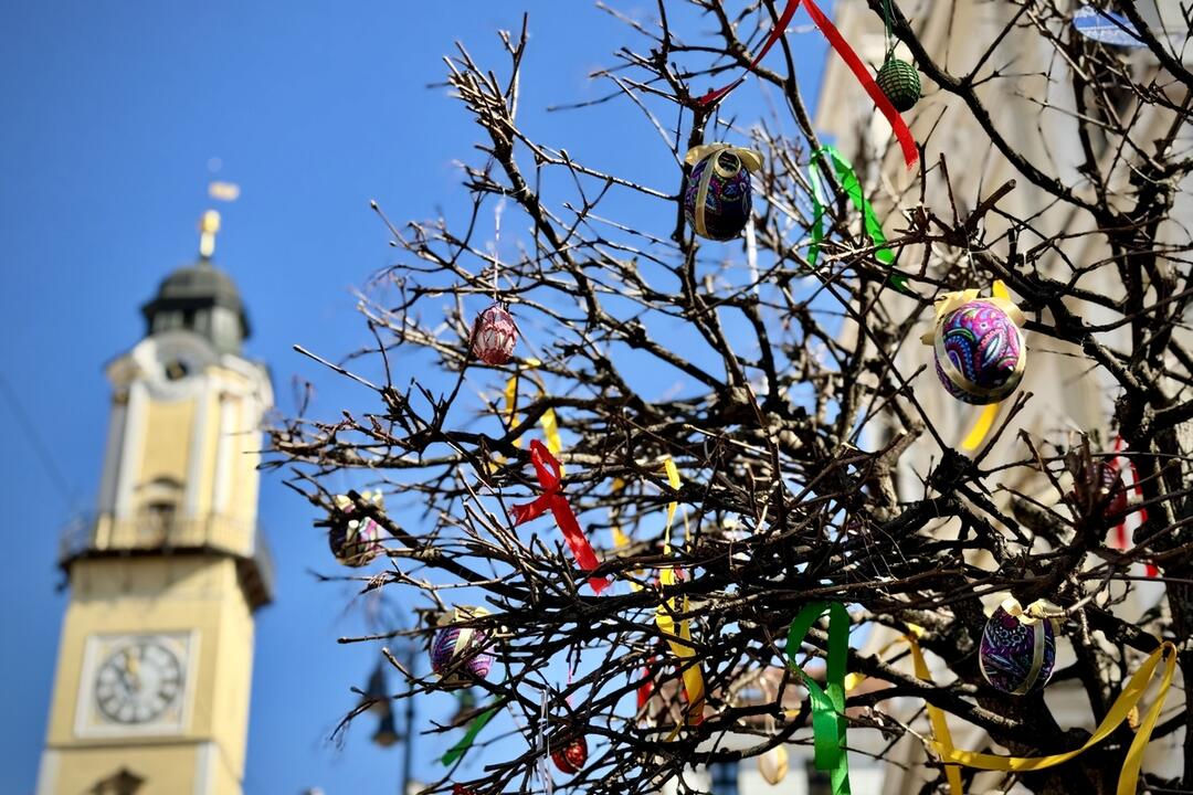 FOTO: Jar v Banskej Bystrici, foto 3