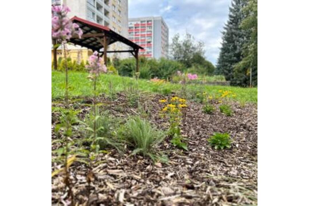 FOTO: Banská Bystrica bojuje proti klimatickým zmenám, foto 1