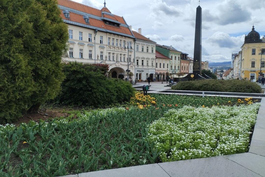 FOTO: Banskú Bystricu spestrí takmer 58-tisíc vysadených kvetov, foto 6