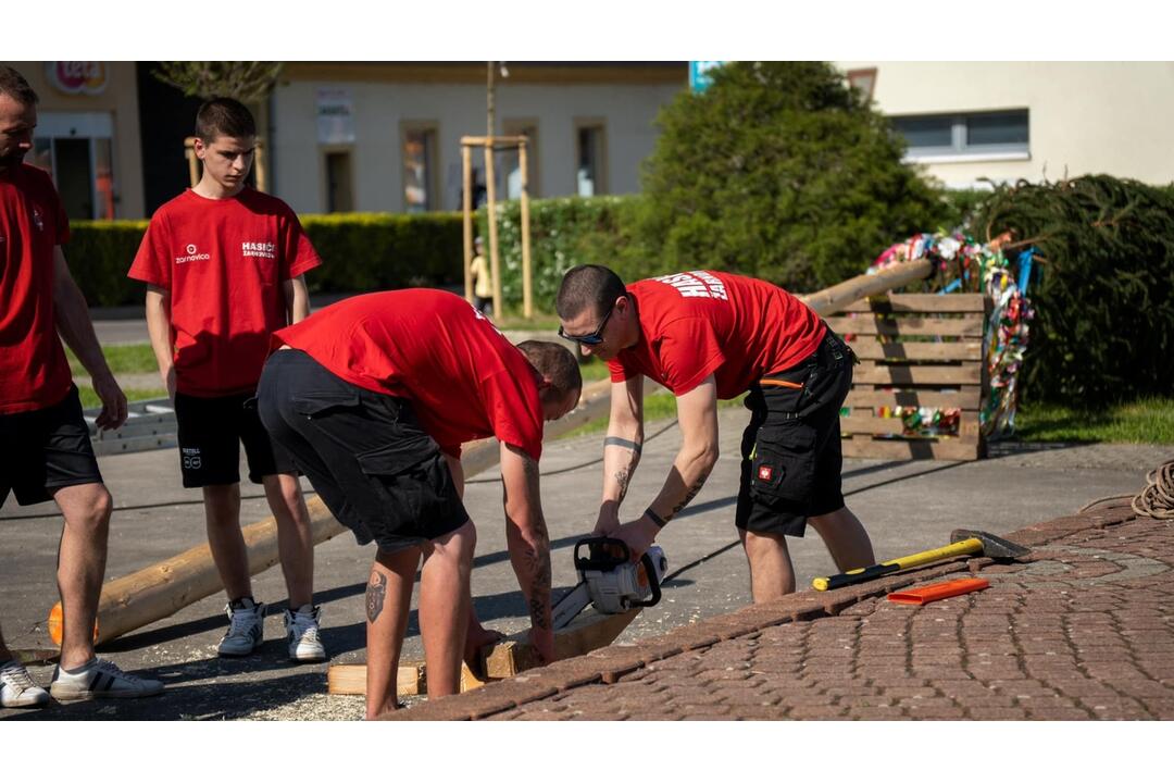 FOTO: Hasiči zo Žarnovice mali plné ruky práce. Nehasili požiari, ale stavali máj, foto 3