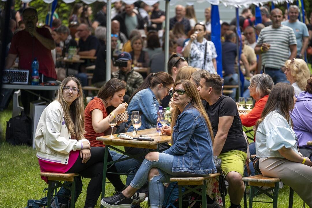 Žiarsky park ožil. Zaplnili ho priaznivci dobrého vína, foto 4