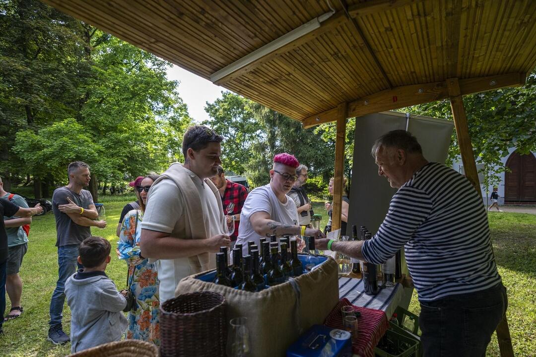 Žiarsky park ožil. Zaplnili ho priaznivci dobrého vína, foto 8