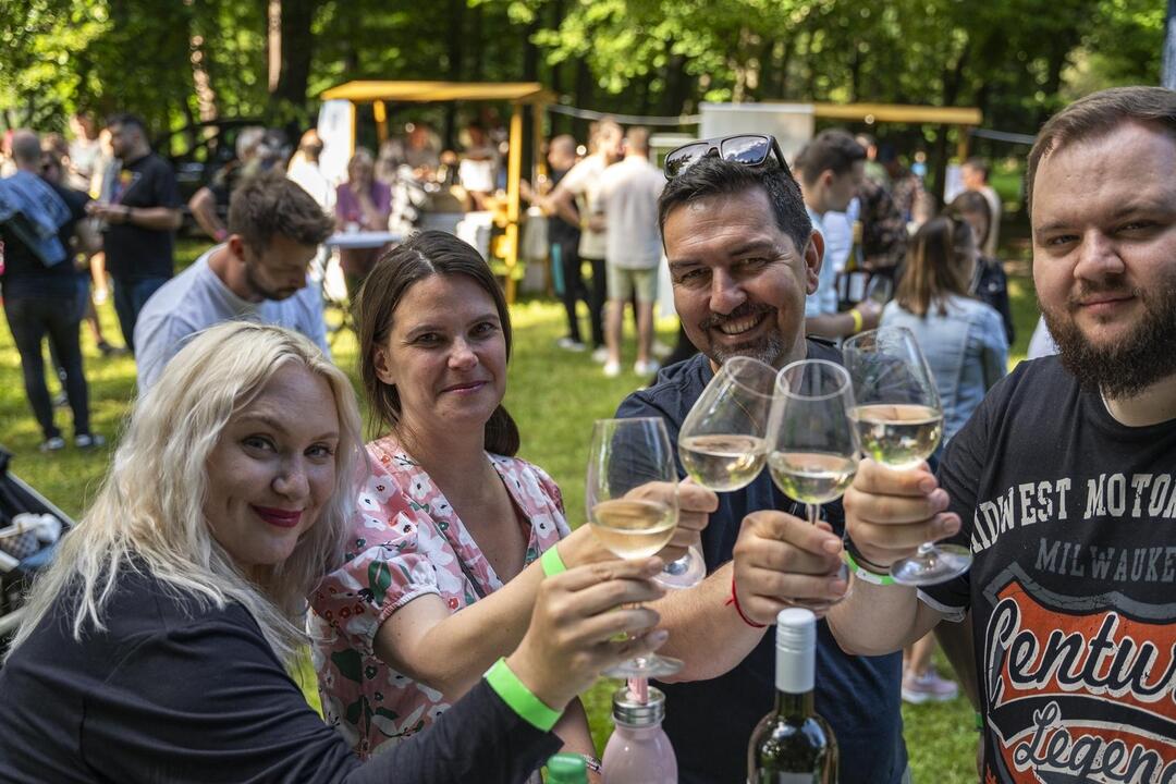 Žiarsky park ožil. Zaplnili ho priaznivci dobrého vína, foto 10