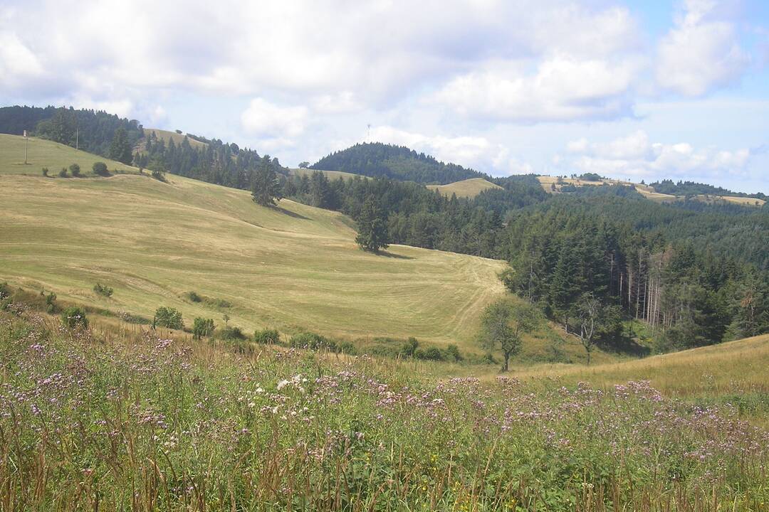 FOTO: Výstup na Zlatý vrch so sprievodcom, foto 4