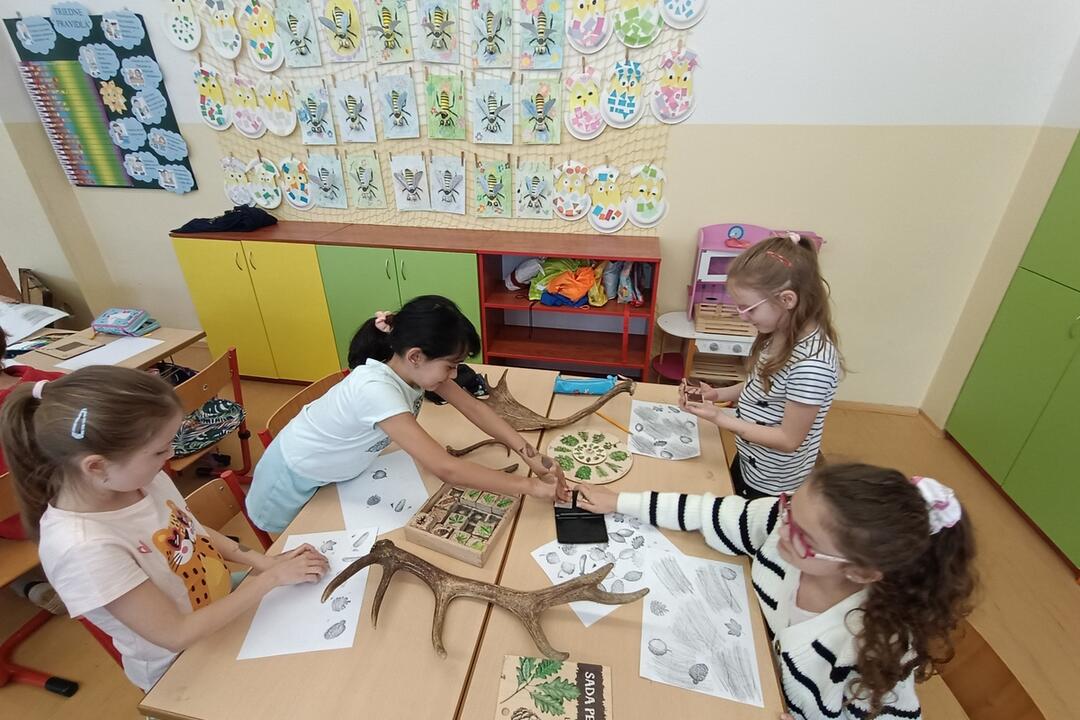 FOTO: Ako prebieha lesná pedagogika? Žiaci vymenili školskú triedu za les, foto 1