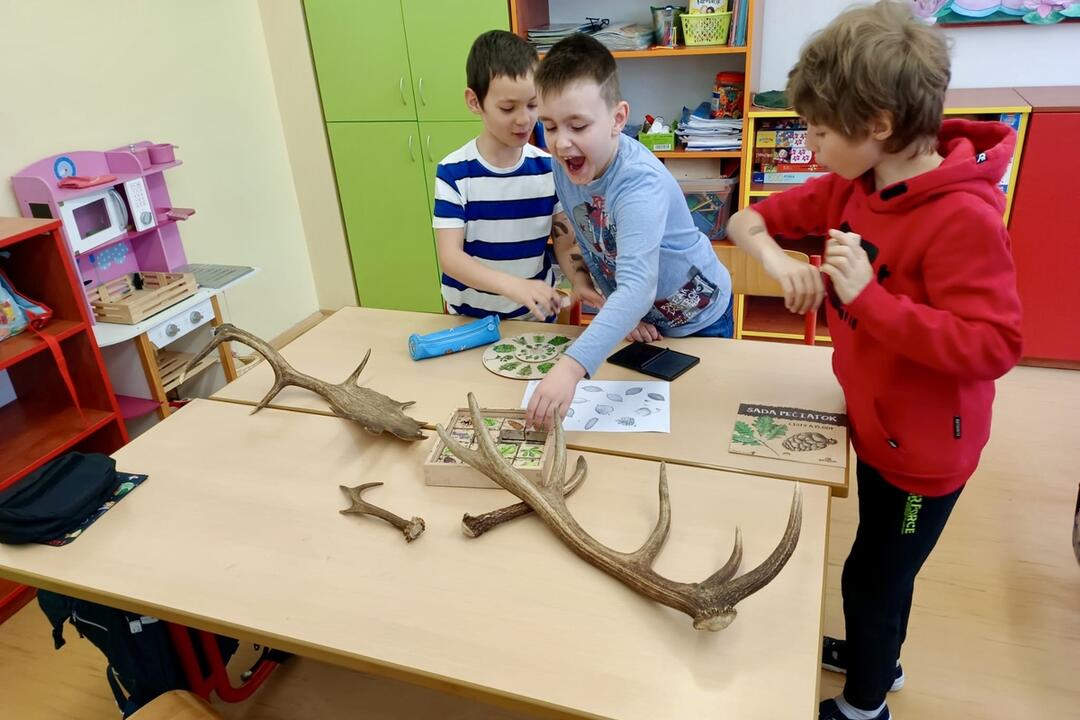 FOTO: Ako prebieha lesná pedagogika? Žiaci vymenili školskú triedu za les, foto 7