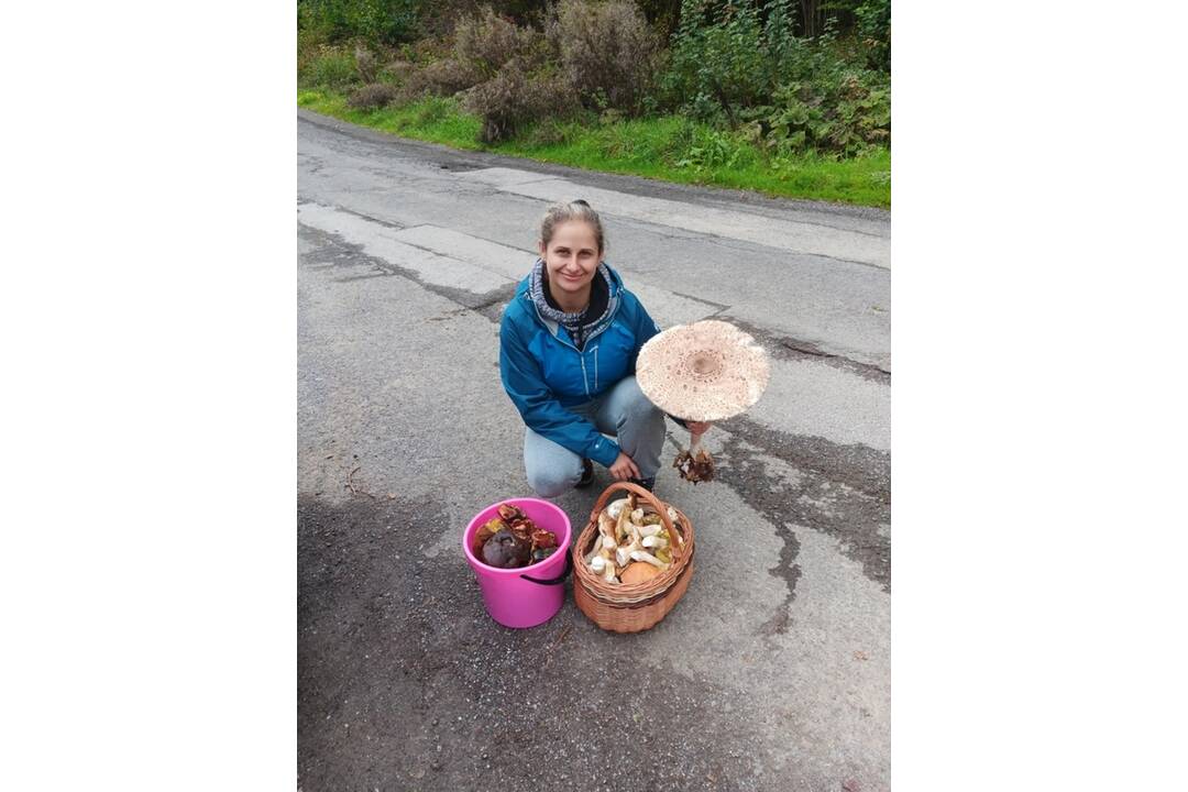 FOTO: Hubárske úspechy na strednom Slovensku - Plný fúrik a bedľa veľká ako dáždnik, foto 2