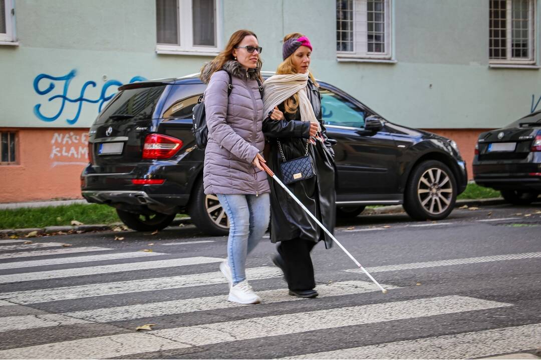 FOTO: Polícia na cestách kontroluje vodičov, či pustia slepých cez priechod, foto 9