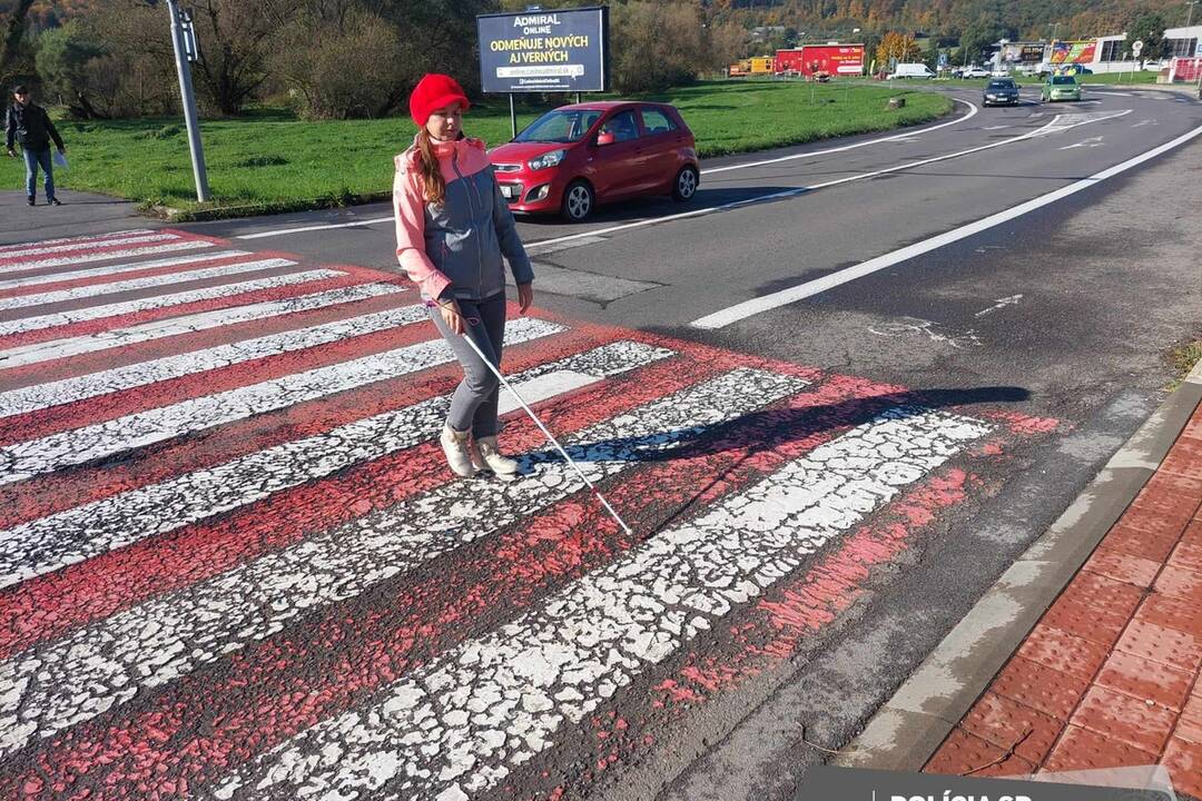 FOTO: Polícia na cestách kontroluje vodičov, či pustia slepých cez priechod, foto 13