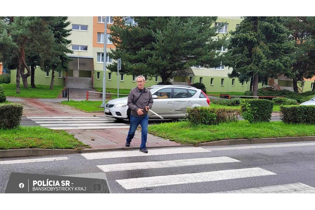 FOTO: Polícia na cestách kontroluje vodičov, či pustia slepých cez priechod, foto 15