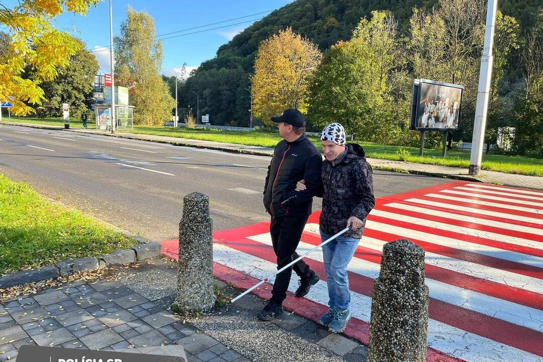 FOTO: Polícia na cestách kontroluje vodičov, či pustia slepých cez priechod, foto 18