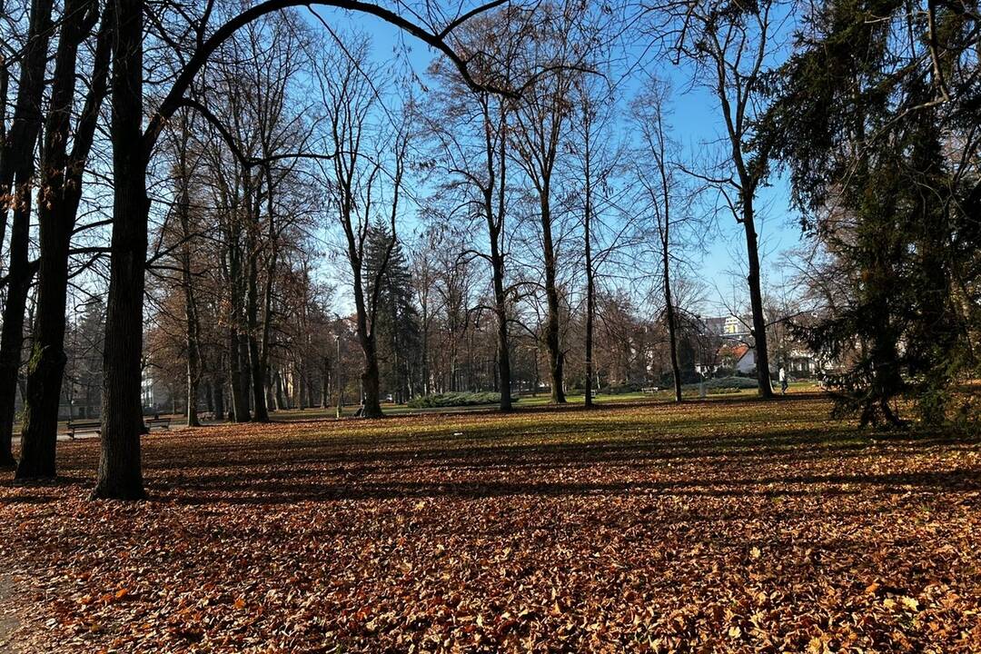 FOTO: Mestský park v Bystrici prejde reitalizáciou, foto 2