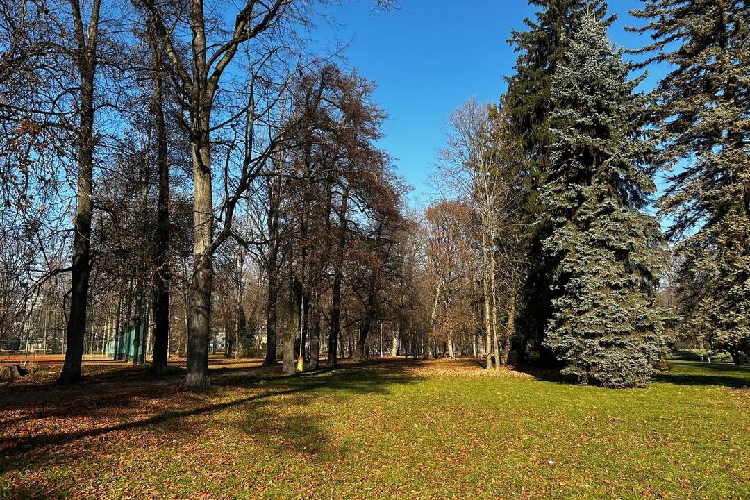 FOTO: Mestský park v Bystrici prejde reitalizáciou, foto 10