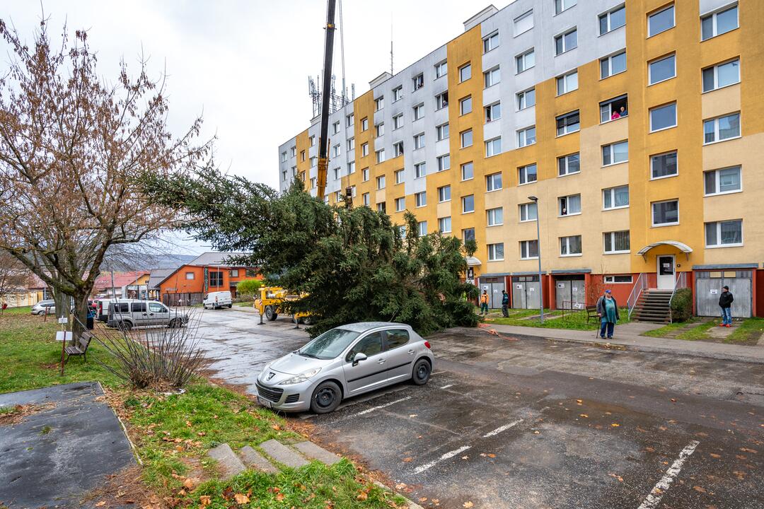 FOTO: Pozrite si, ako sa dostal stromček aj na námestie v Žiari nad Hronom, foto 3