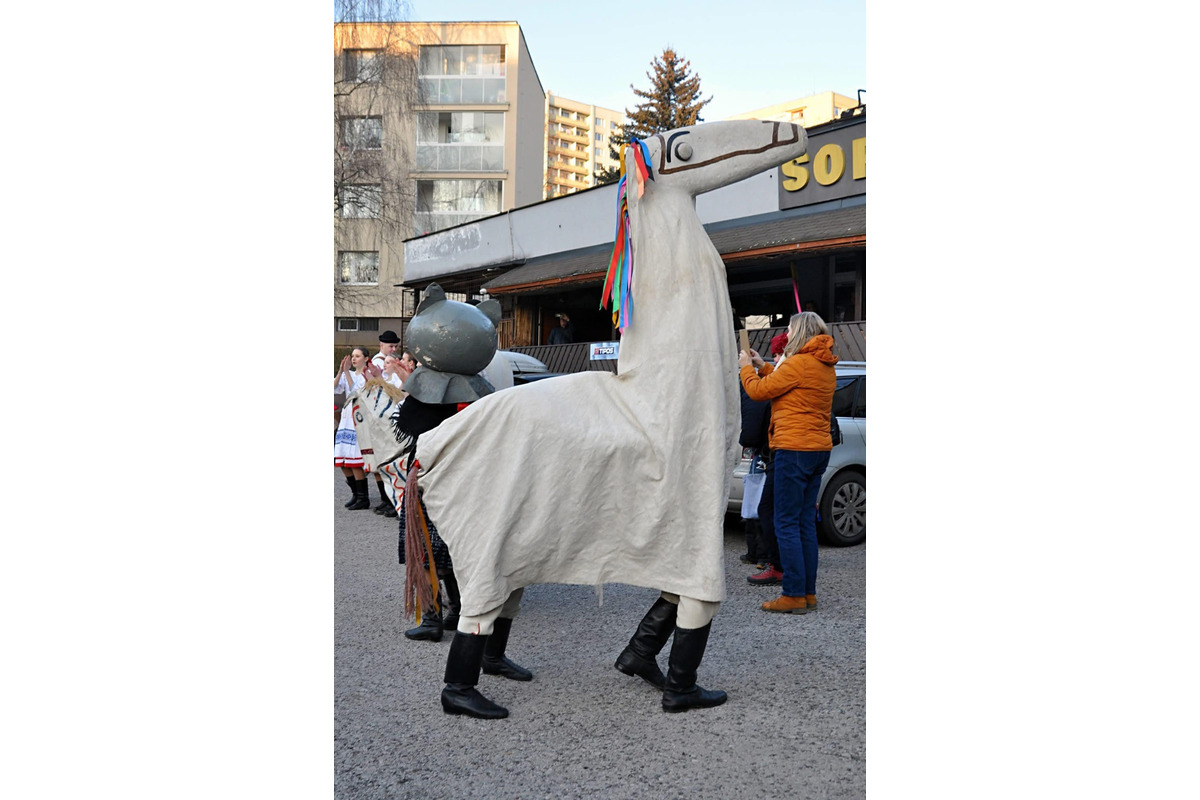 FOTO: Sásovčania už Fašiangy v uliciach oslávili , foto 6